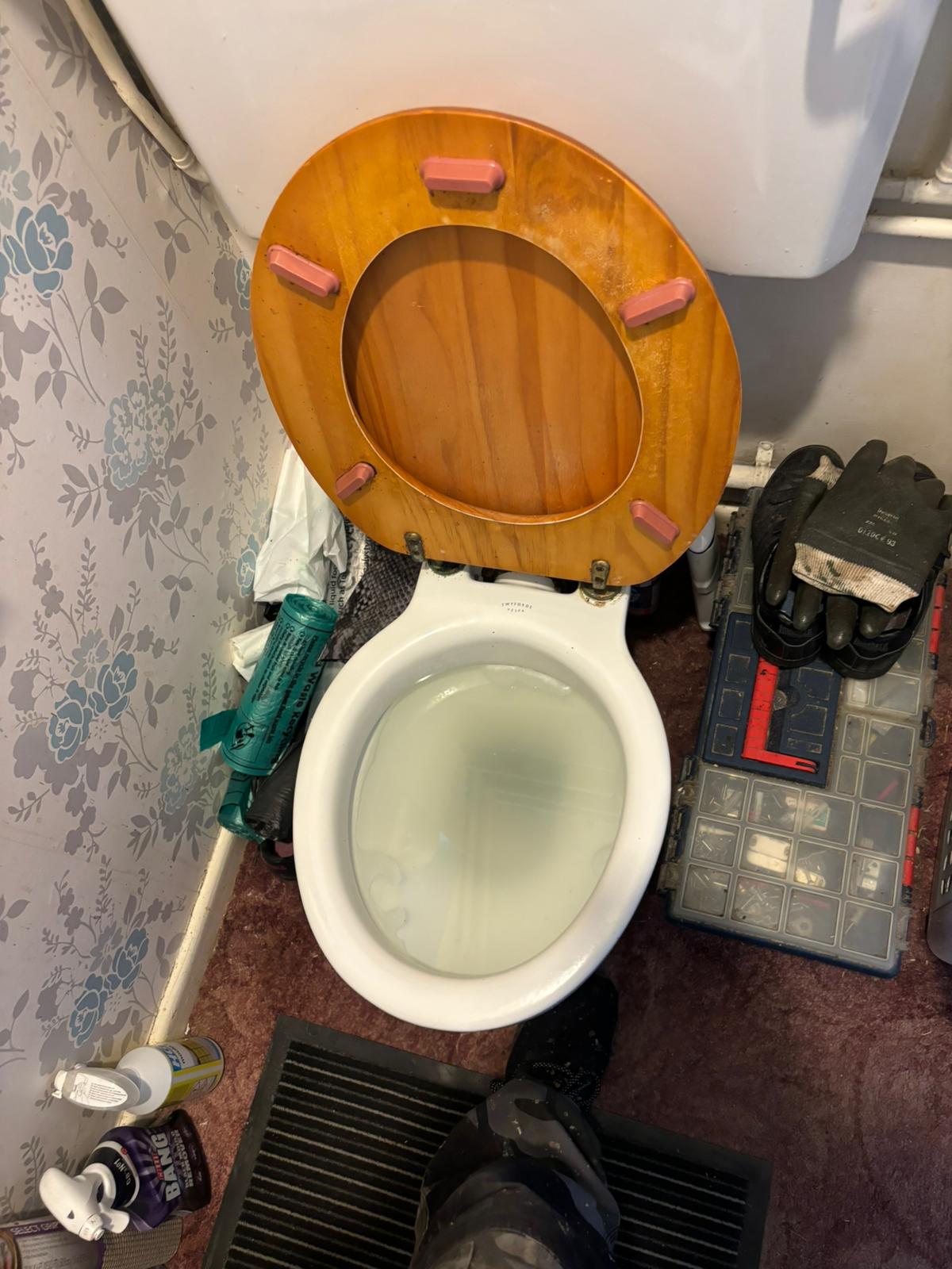 WhatsApp Image 2025 02 03 at 21.20.50 (1)